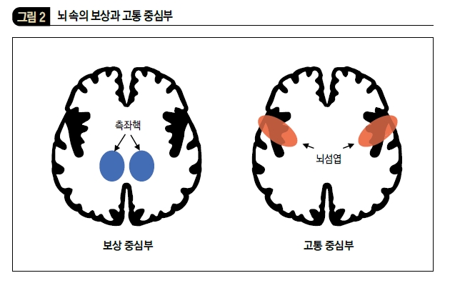 뇌 속의 보상과 고통 중심부