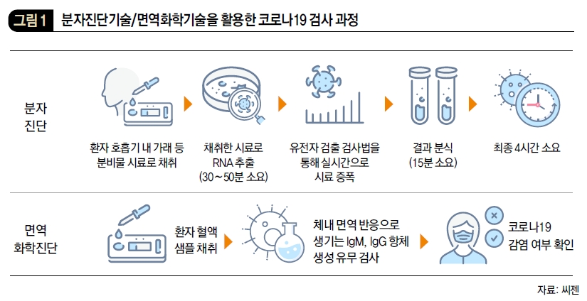 분자진단기술/면역화학기술을 활용한 코로나 19 검사 과정