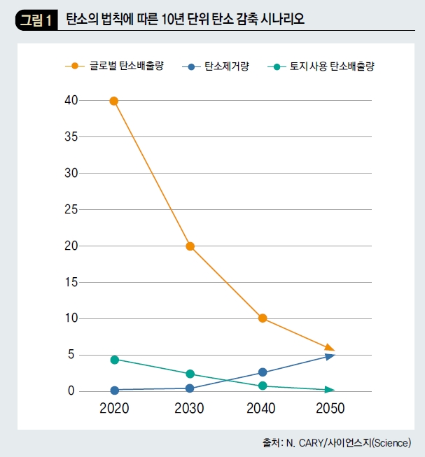 탄소의 법칙에 따른 10년 단위 탄소 감축 시나리오