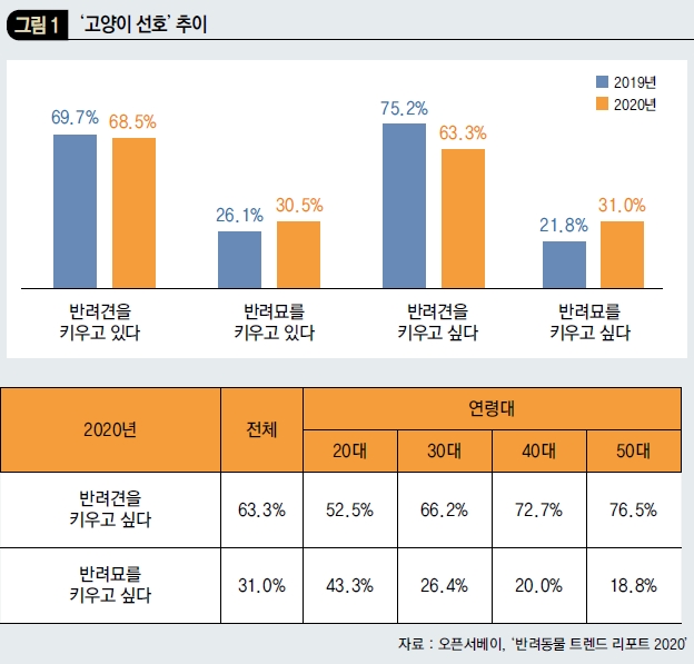 '고양이 선호' 추이