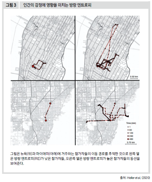 인간의 감정에 영향을 미치는 방랑 엔트로피