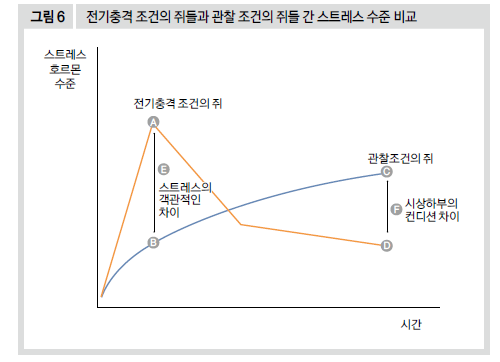 전기충격 조건의 쥐들과 관찰 조건의 쥐들 간 스트레스 수준 비교