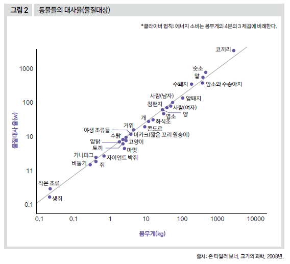 동물들의 대사율(물질대상)