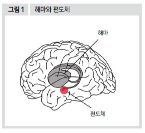 해마와 편도체