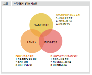 가족기업의 3차원 시스템