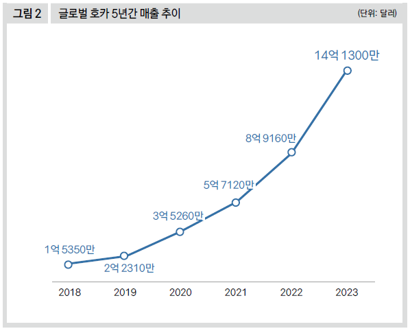 글로벌 호카 5년간 매출 추이