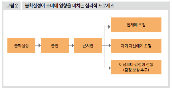 불확실성이 소비에 영향을 미치는 심리적 프로세스
