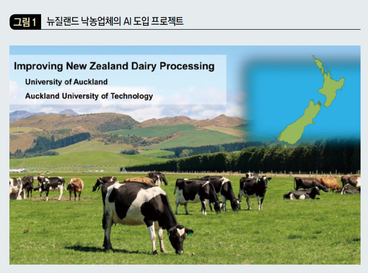 뉴질랜드 낙농업체의 AI 도입 프로젝트