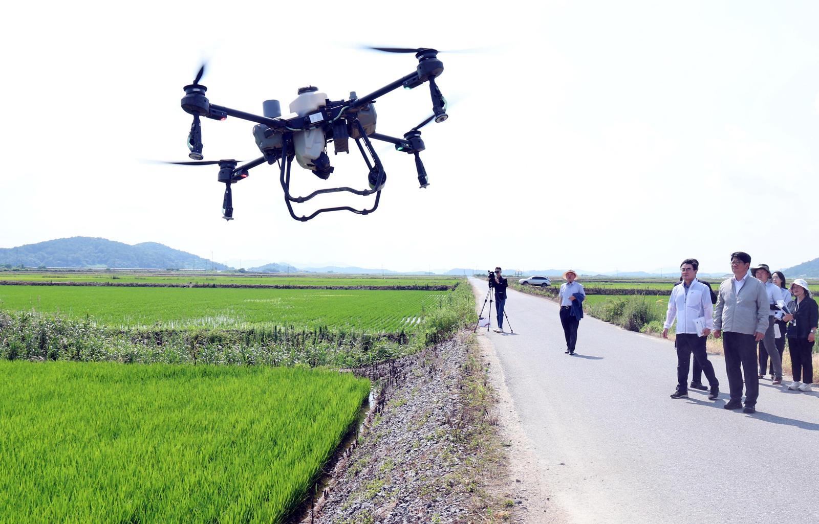 Drones Enhance Pest Control, Yield Forecasting in Agriculture