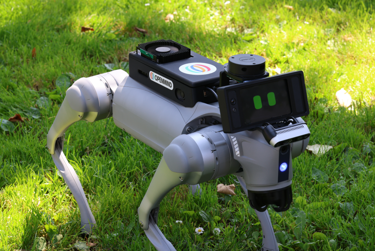 Robot Dog Assisting Math Studies: Insurance Concerns