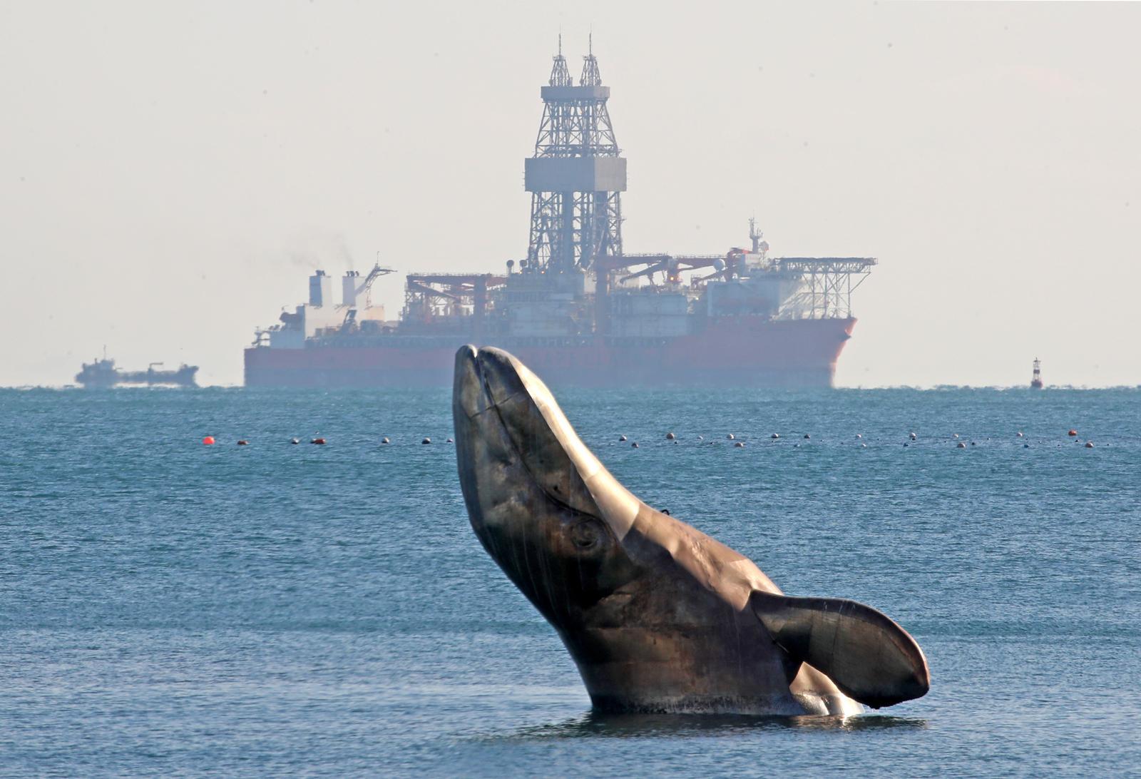 Foreign Investment in East Sea Gas Field Decided After Holiday