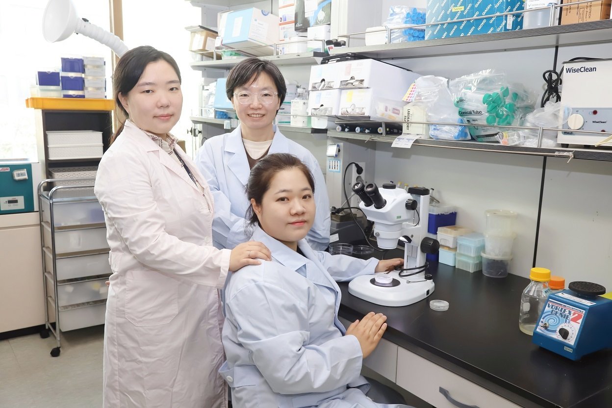 "Microplastics in Mothers Weaken Babies' Immunity"