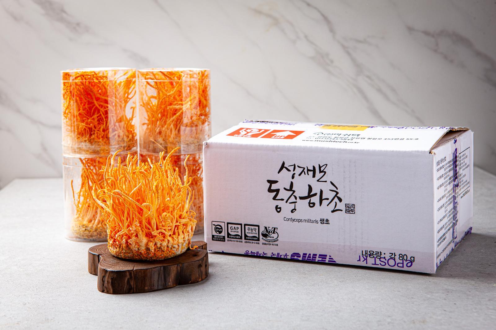 Cordyceps Mass Production with Brown Rice After 41 Years