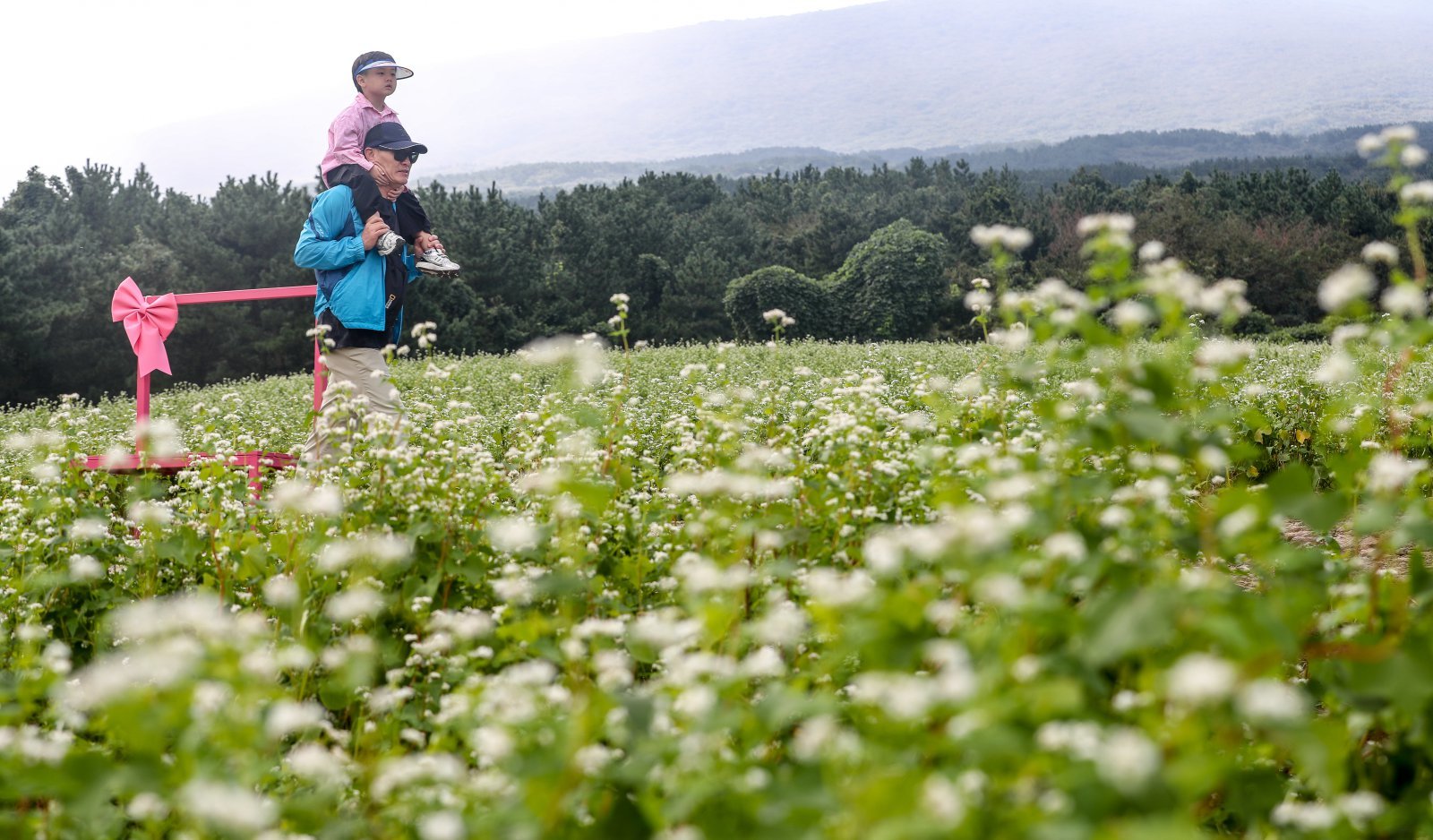 Jeju to Lead K-Digital Healthcare City Initiative