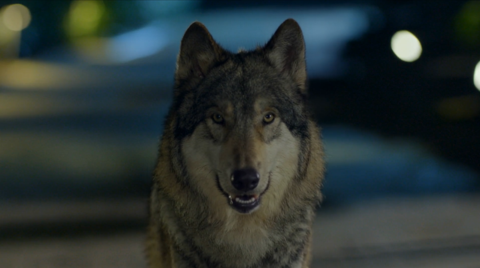 Studio Beluga, KBS Unit Unveil Joint AI-VFX Tech