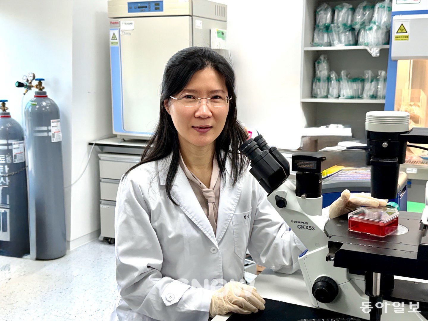 Universal Blood Type Developed, Surpassing Donation Limits