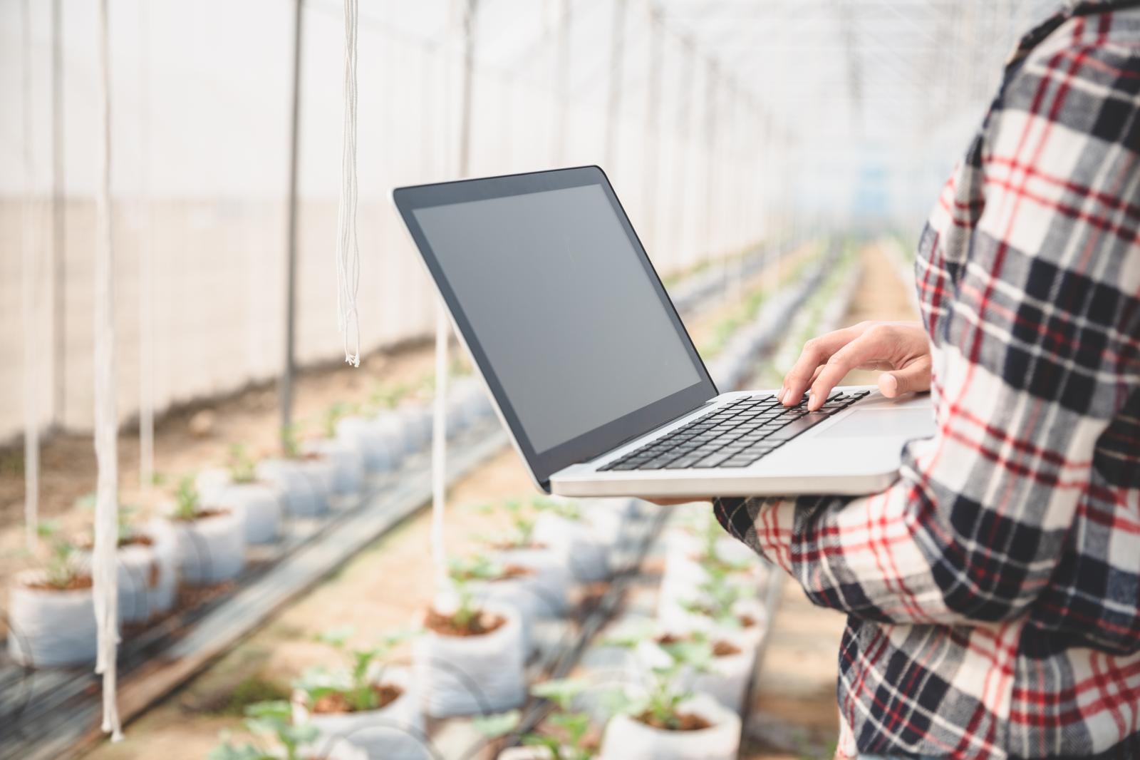 Small Farms Use AI, Satellites to Forecast Crops