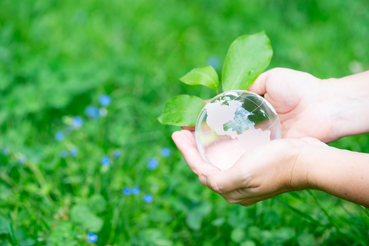 Young Forest Entrepreneurs Eye ‘Mushroom Meal Kit’ Unicorn