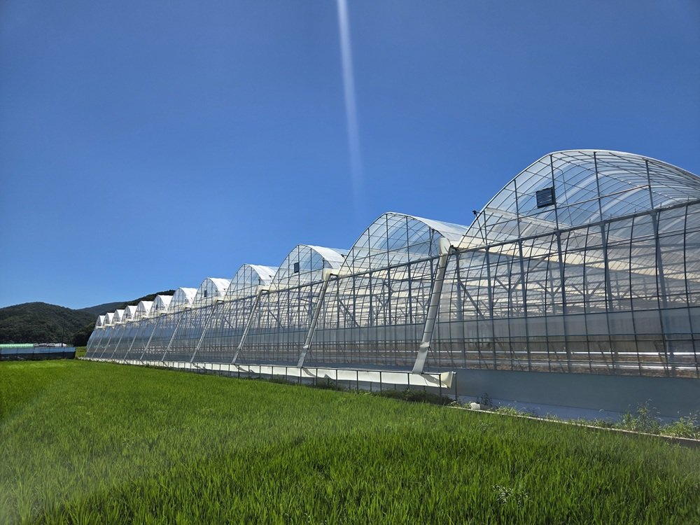 Greenfarms Global Upgraded to Tier-1 Greenhouse Builder