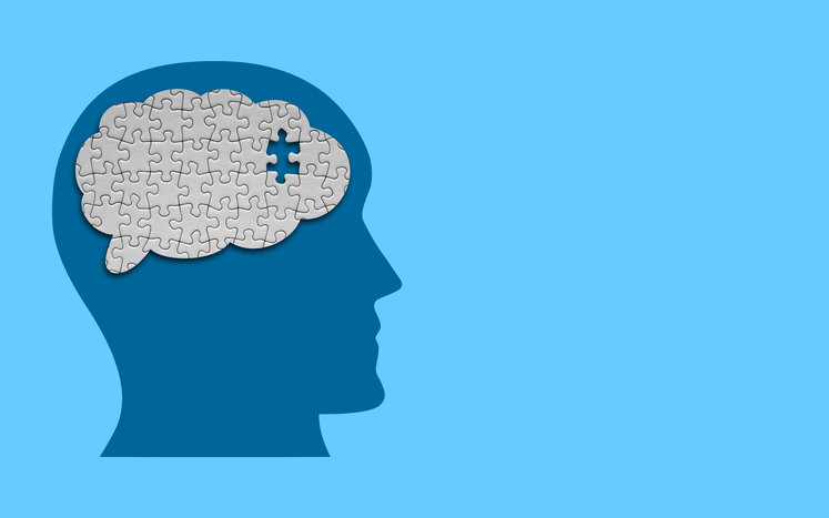 Korean Team Identifies Two Autism-Related Brain Changes