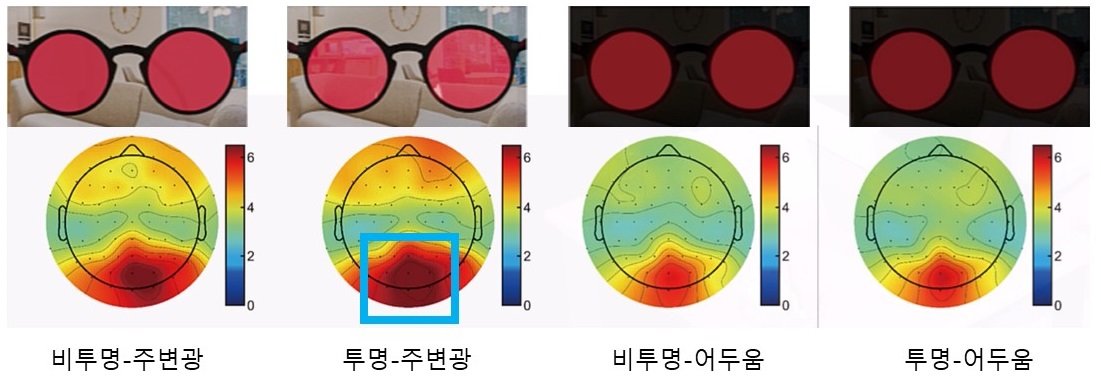 “치매 예방, 안경으로 가능할까”…투명 OLED로 감마파 변화 확인 [노화설계]